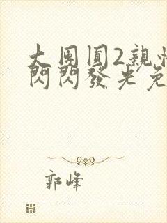 大团圆2亲情会闪闪发光免费封面