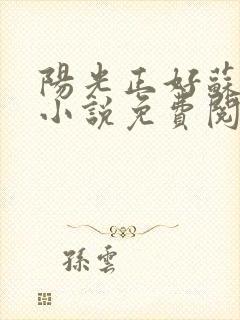 阳光正好苏玥玥小说免费阅读无弹窗封面