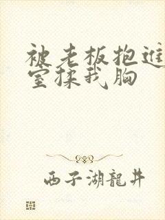 被老板抱进办公室揉我胸