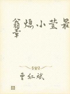 翁熄小莹最新节章封面