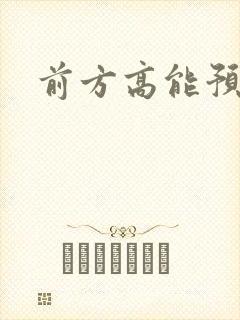 前方高能预警封面