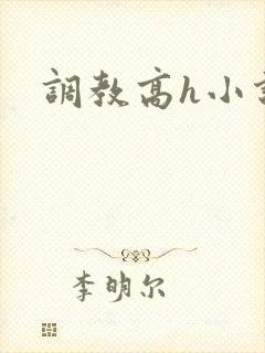 调教高h小说封面