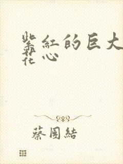 紫红的巨大顶开花心