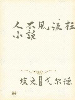 人不风流枉少年小说