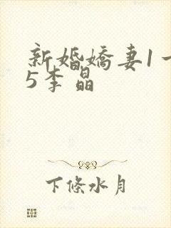 新婚娇妻1一25李晶封面