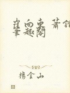 崔向东 萧错 笔趣阁