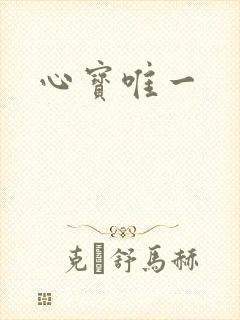心宝唯一封面