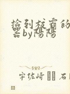 捡到校霸的遥控器by阳阳封面