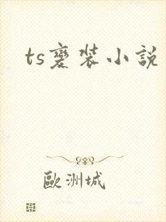ts变装小说封面