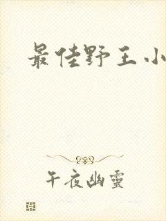 最佳野王小说封面