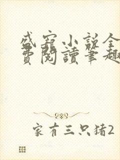 盛宠小说全文免费阅读笔趣阁封面