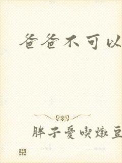 爸爸不可以封面