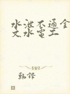 水泄不通金银原文水电工