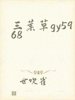三叶草gy5968