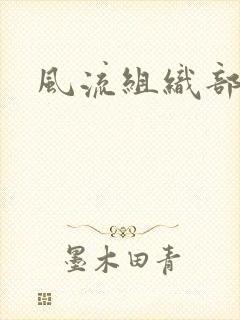 风流组织部长封面