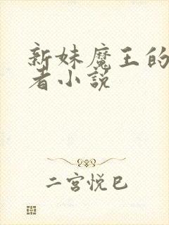 新妹魔王的契约者小说
