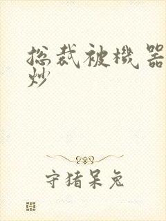 总裁被机器人爆炒封面