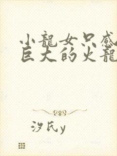 小龙女只感觉那巨大的火龙枪