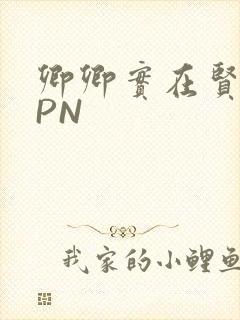 卿卿实在贤良NPN