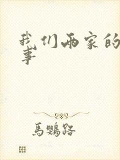 我们两家的荒唐事