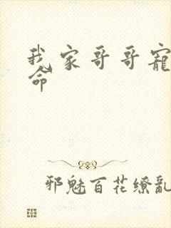 我家哥哥宠妹如命