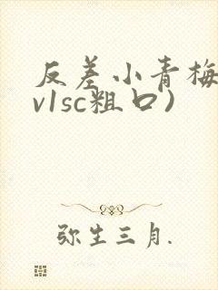 反差小青梅(1v1sc粗口)