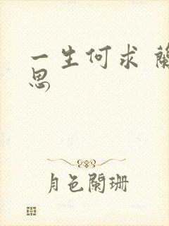 一生何求 兰思思