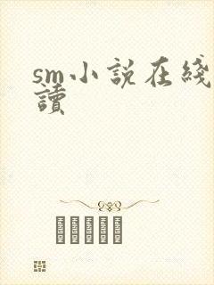 sm小说在线阅读