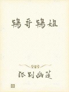 鸨哥鸨姐