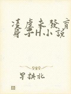 凌虐未发育的小身子H小说