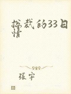 总裁的33日索情封面