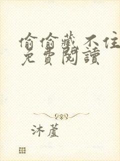 偷偷藏不住小说免费阅读