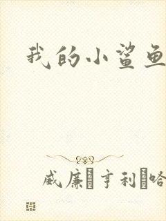 我的小鲨鱼