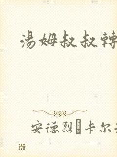 汤姆叔叔转接口