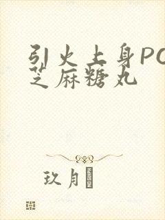 引火上身POP芝麻糖丸封面