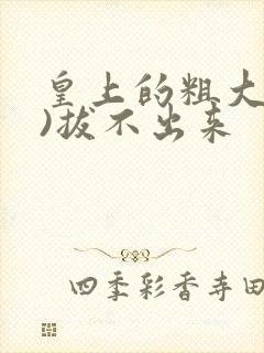 皇上的粗大(h)拔不出来