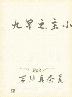 九星之主小说