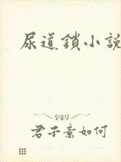 尿道锁小说封面