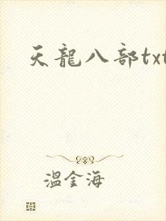 天龙八部txt