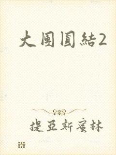 大团圆结2