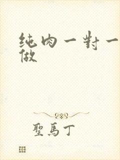 纯肉一对一到处做