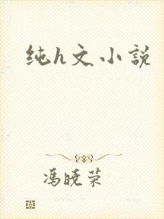 纯h文小说