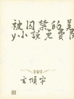 被囚禁的美人by小说免费阅读封面