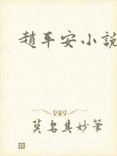 赵平安小说主角