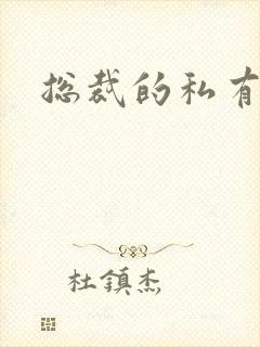 总裁的私有宝贝