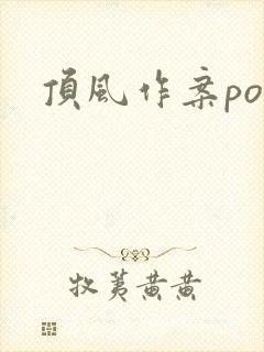 顶风作案po封面