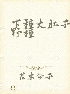 下种大肚子怀孕野种