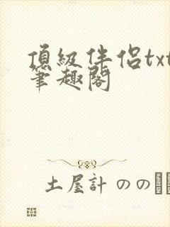 顶级伴侣txt笔趣阁封面