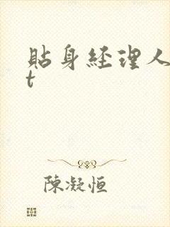 贴身经理人txt封面