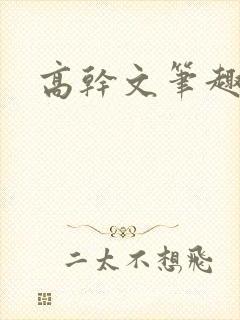 高干文笔趣阁封面